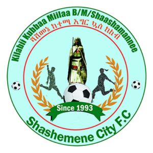 Shashemene Ketema
