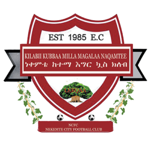 Nekemte Ketema
